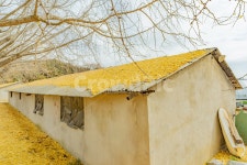 슬레이트지붕, 지붕, 은행잎, 은행, 슬레이트, 사진,이미지,일러스트,캘리그라피 - 노란꽃돼지작가 크라우드픽 - 저작권 걱정 없는 상업용 이미지