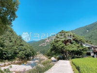 계곡, 자연, 잔디, 나무, 하늘, 사진,이미지,일러스트,캘리그라피 - 더가작가 크라우드픽 - 저작권 걱정 없는 상업용 이미지