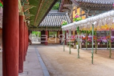 경주, 불국사, 한국, 한국전통, 한국문화, 사진,이미지,일러스트,캘리그라피 - koyh작가 크라우드픽 - 저작권 걱정 없는 상업용 이미지