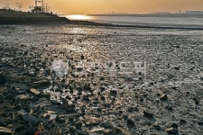 일몰, 갯고랑, 갯골, 갯벌, 간조, 사진,이미지,일러스트,캘리그라피 - Deep bLUE작가 크라우드픽 - 저작권 걱정 없는 상업용 이미지