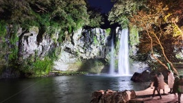제주도, 천지연폭포, 야간폭포, waterfall, nature, 사진,이미지,일러스트,캘리그라피 - 프리텐더작가 크라우드픽 - 저작권 걱정 없는 상업용... 