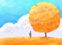 가을일러스트, 가을, 계절, 사계절, 가을풍경, 사진,이미지,일러스트,캘리그라피 - cooltree작가 크라우드픽 - 저작권 걱정 없는 상업용 이미지