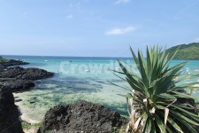 제주도, 제주도풍경, 화이트비치, 바다, 바닷가, 사진,이미지,일러스트,캘리그라피 - Nyujin2954작가 크라우드픽 - 저작권 걱정 없는 상업용... 