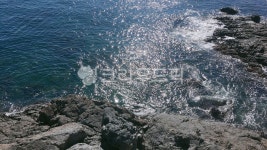 바다, 부산, 부산바다, 동백섬, 동백섬바다, 사진,이미지,일러스트,캘리그라피 - 드볼작가 크라우드픽 - 저작권 걱정 없는 상업용 이미지