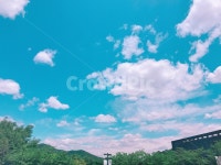 하늘, 풍경, 힐링, 맑음, 구름, 사진,이미지,일러스트,캘리그라피 - Nwnsla960작가 크라우드픽 - 저작권 걱정 없는 상업용 이미지