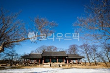 무장읍성, 송사관, 객사, 나무, 고목, 사진,이미지,일러스트,캘리그라피 - Soldae작가 크라우드픽 - 저작권 걱정 없는 상업용 이미지