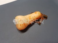 무김치, 알타리, 깍두기, 김치, 전통, 사진,이미지,일러스트,캘리그라피 - hanhoy작가 크라우드픽 - 저작권 걱정 없는 상업용 이미지