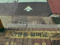 초등학교앞, 양옆을살펴요, 신호, 횡단보도, 학교가는길, 사진,이미지,일러스트,캘리그라피 - Nkka970202작가 크라우드픽 - 저작권 걱정 없는... 