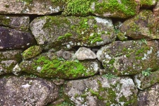 한국전통, 돌담, 빈티지, 이끼, 석재, 사진,이미지,일러스트,캘리그라피 - space작가 크라우드픽 - 저작권 걱정 없는 상업용 이미지