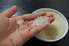 rice, 쌀, 주식, 음식, food, 사진,이미지,일러스트,캘리그라피 - 이히힛작가 크라우드픽 - 저작권 걱정 없는 상업용 이미지