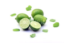 라임, 애플민트, 모히또, 과일, 허브, 사진,이미지,일러스트,캘리그라피 - LHG작가 크라우드픽 - 저작권 걱정 없는 상업용 이미지