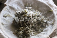 봄나물, 봄제철음식, 쑥, 참쑥, 쑥떡, 사진,이미지,일러스트,캘리그라피 - NULDO AND JJ작가 크라우드픽 - 저작권 걱정 없는 상업용 이미지