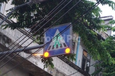 light, 빛, 횡단보도, 네온사인, 신호등, 사진,이미지,일러스트,캘리그라피 - 흥국공주작가 크라우드픽 - 저작권 걱정 없는 상업용 이미지