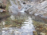 계곡, 비슬산자연휴양림, 폭포, 자연, 겨울, 사진,이미지,일러스트,캘리그라피 - 호롱이7작가 크라우드픽 - 저작권 걱정 없는 상업용 이미지