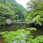 호수, 호수풍경, 연못, 연못풍경, 백양사, 사진,이미지,일러스트,캘리그라피 - 소중한 인연작가 크라우드픽 - 저작권 걱정 없는 상업용 이미지