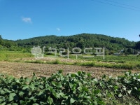 자연, nature, field, 시골, outdoors, 사진,이미지,일러스트,캘리그라피 - jstlxk작가 크라우드픽 - 저작권 걱정 없는 상업용 이미지