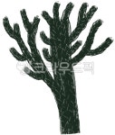 선인장, 가시선인장, 녹색, green, tree, 사진,이미지,일러스트,캘리그라피 - 유태양작가 크라우드픽 - 저작권 걱정 없는 상업용 이미지