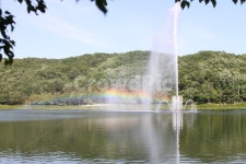 분수, 무지개, 율동공원, rainbow, 호수, 사진,이미지,일러스트,캘리그라피 - 그린시드작가 크라우드픽 - 저작권 걱정 없는 상업용 이미지