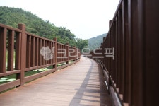 자연, outdoors, nature, 옥외, wood, 사진,이미지,일러스트,캘리그라피 - 핑크나비작가 크라우드픽 - 저작권 걱정 없는 상업용 이미지