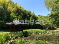 park, 공원, outdoors, 옥외, nature, 사진,이미지,일러스트,캘리그라피 - 유유uu작가 크라우드픽 - 저작권 걱정 없는 상업용 이미지