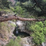 산, 감악산, 계곡, 골짜기, 나무, 사진,이미지,일러스트,캘리그라피 - shuul작가 크라우드픽 - 저작권 걱정 없는 상업용 이미지