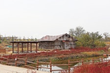 소금창고, 창고, 옛날창고, 시흥갯골생태공원, 식물, 사진,이미지,일러스트,캘리그라피 - 함께사는세상작가 크라우드픽 - 저작권 걱정 없는 상업용... 