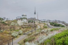 남산, 산책, 산책로, 서울, 공원, 사진,이미지,일러스트,캘리그라피 - imlover작가 크라우드픽 - 저작권 걱정 없는 상업용 이미지