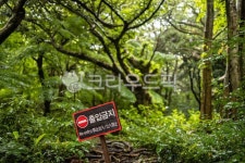 출입금지, tree, 나무, treetrunk, 나무줄기, 사진,이미지,일러스트,캘리그라피 - 수리산호랑이작가 크라우드픽 - 저작권 걱정 없는 상업용... 