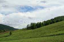 초원, 몽고, 하늘, 구름, 언덕, 사진,이미지,일러스트,캘리그라피 - pradis작가 크라우드픽 - 저작권 걱정 없는 상업용 이미지