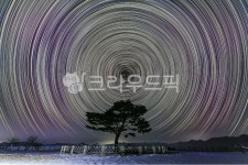 야경, 별, 소나무, 하늘, 별궤적, 사진,이미지,일러스트,캘리그라피 - 제이티에스작가 크라우드픽 - 저작권 걱정 없는 상업용 이미지