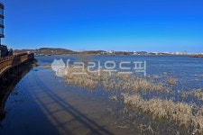 성성호수공원, 호수공원, 천안, 호수, 자연, 사진,이미지,일러스트,캘리그라피 - Deep bLUE작가 크라우드픽 - 저작권 걱정 없는 상업용 이미지