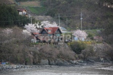 자연, 건물, 풍경, 별장, 산장, 사진,이미지,일러스트,캘리그라피 - 신기마루작가 크라우드픽 - 저작권 걱정 없는 상업용 이미지