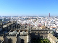 스페인, 세비야, 도시, 풍경, 세비야대성당, 사진,이미지,일러스트,캘리그라피 - kexiar작가 크라우드픽 - 저작권 걱정 없는 상업용 이미지