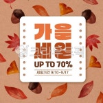 leaf, 잎, 단풍, fall, autumn, 사진,이미지,일러스트,캘리그라피 - 103layers작가 크라우드픽 - 저작권 걱정 없는 상업용 이미지