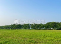 farm, 농장, field, 필드, nature, 사진,이미지,일러스트,캘리그라피 - mgmg작가 크라우드픽 - 저작권 걱정 없는 상업용 이미지