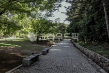 walkway, path, 길, sidewalk, 보도, 사진,이미지,일러스트,캘리그라피 - studio H작가 크라우드픽 - 저작권 걱정 없는 상업용 이미지