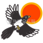 까치, 새해, 설날, 유치원, 어린이집, 사진,이미지,일러스트,캘리그라피 - hellodisiney작가 크라우드픽 - 저작권 걱정 없는 상업용 이미지