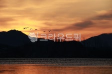 여명, 일출, 새벽, 아침, 자연, 사진,이미지,일러스트,캘리그라피 - 고운경작가 크라우드픽 - 저작권 걱정 없는 상업용 이미지