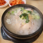 삼계탕, 백숙, 한식, 뚝배기, 보양식, 사진,이미지,일러스트,캘리그라피 - Vision작가 크라우드픽 - 저작권 걱정 없는 상업용 이미지