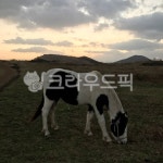 nature, 자연, 들, outdoors, 농장, 사진,이미지,일러스트,캘리그라피 - md2작가 크라우드픽 - 저작권 걱정 없는 상업용 이미지