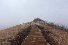 제주도, 나무, 풍경, soil, outdoors, 사진,이미지,일러스트,캘리그라피 - Nbingre_happy작가 크라우드픽 - 저작권 걱정 없는 상업용 이미지