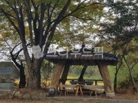 쉼터, 정자, 나무, 시골, tree, 사진,이미지,일러스트,캘리그라피 - 모하꼬작가 크라우드픽 - 저작권 걱정 없는 상업용 이미지