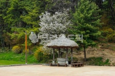 충남, 부여군, 부여읍, 부소산성, 옥외, 사진,이미지,일러스트,캘리그라피 - imlover작가 크라우드픽 - 저작권 걱정 없는 상업용 이미지