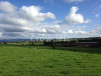 목초지, 들판, 농장, 하늘, 잔디, 사진,이미지,일러스트,캘리그라피 - 신이난바람작가 크라우드픽 - 저작권 걱정 없는 상업용 이미지