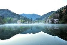 nature, 자연, outdoors, 옥외, water, 사진,이미지,일러스트,캘리그라피 - Nepoto1작가 크라우드픽 - 저작권 걱정 없는 상업용 이미지