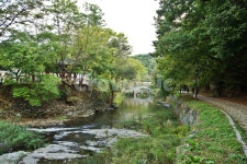 마곡사, 솔바람길, 마곡천, 공주, 태화산, 사진,이미지,일러스트,캘리그라피 - Deep bLUE작가 크라우드픽 - 저작권 걱정 없는 상업용 이미지