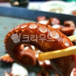 문어발, 문어다리, 빨판, 문어숙회, 문어, 사진,이미지,일러스트,캘리그라피 - 은발마녀작가 크라우드픽 - 저작권 걱정 없는 상업용 이미지