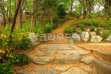 매봉산공원, 공원, 길, 보도, 산책로, 사진,이미지,일러스트,캘리그라피 - imlover작가 크라우드픽 - 저작권 걱정 없는 상업용 이미지