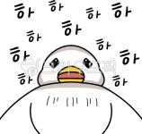 오리, 웃는오리, 행복한오리, 웃음, 해피, 사진,이미지,일러스트,캘리그라피 - tlsdud149작가 크라우드픽 - 저작권 걱정 없는 상업용 이미지
