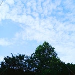 하늘, 구름, 나무, 구름떼, 푸른하늘, 사진,이미지,일러스트,캘리그라피 - 김미주작가 크라우드픽 - 저작권 걱정 없는 상업용 이미지